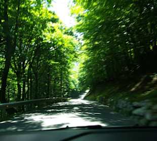 Das neue Teilstück Österreich