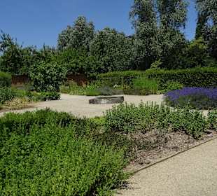 Schaffhauser Kräutergarten