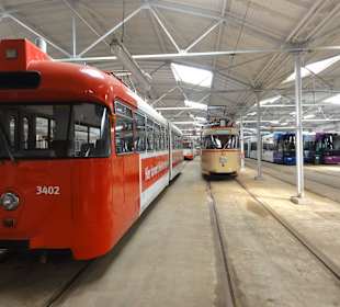 Rundgang durch die Fahrzeughallen