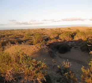 Dünen von Maspalomas gegen Abend