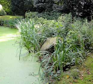 Spaziergang durch Thieles Garten
