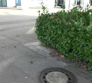 Uferpromenade Friedrichshafen