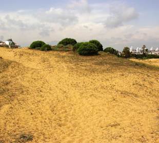 Gündogdu auf den Dünen oben