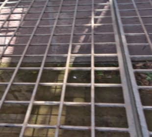 Altes Schloss Altensteig