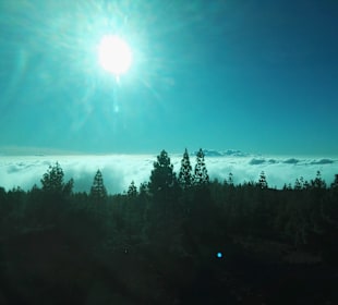 Teidebesuch über den Wolken zu empfehlen!