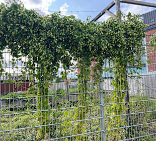 Bremer Braumanufaktur