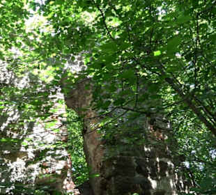 Burgruine Hochhaus
