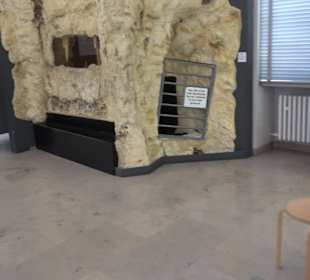 Staatliches Naturkunde Museum