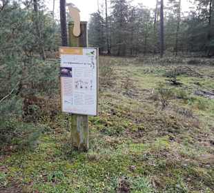 Ameisen Barfußpfad Hinweistafel