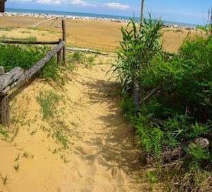 FKK-Bereich nach dem Leuchtturm Richtung Lignano am Wald