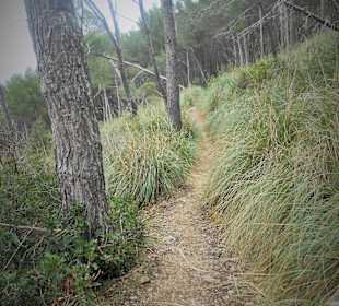 Wanderweg zum Coll Baix