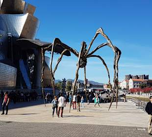 Spinnenkunst vor dem Museum
