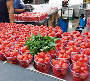 Erdbeeren mit Schokosauce, der Renner!!!