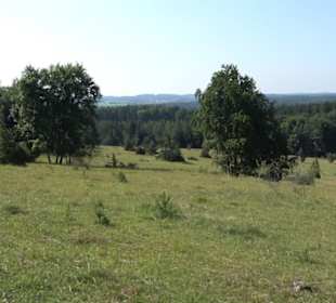 Premiumwanderweg "hochgesprudelt"