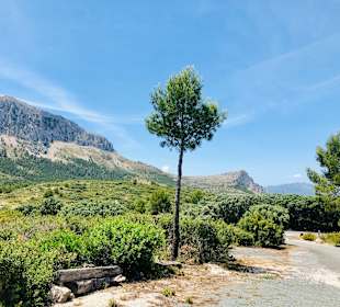 Wandern Oliva