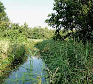 Impressionen aus dem Park Links der Weser