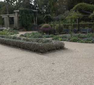 Rosengarten im Tiergarten