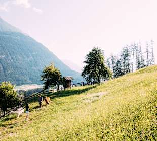 Wandern Arzl im Pitztal