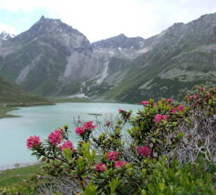 Panoramablick Rifelsee
