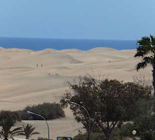 Dünen von Maspalomas