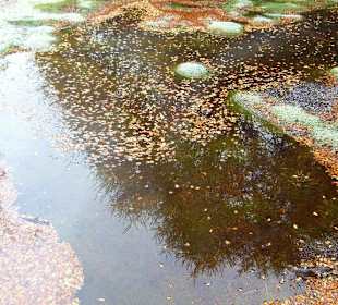 Parque Nacional Tierra del Fuego