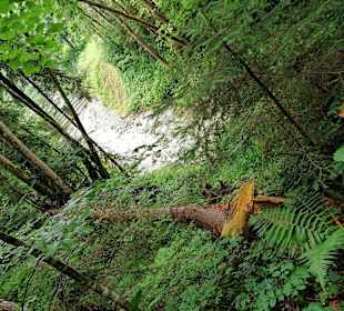 Wandern Weiler-Simmerberg