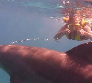 Ich mit einem Delfin, unbeschreiblich!