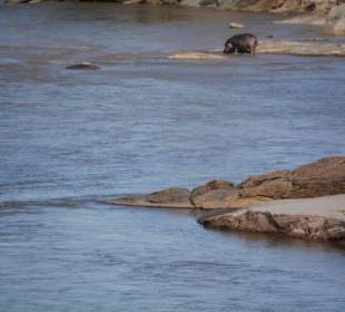 Am Galan River vorne Krokodile auf der Landzunge