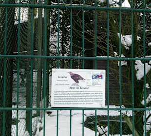 Infotafeln