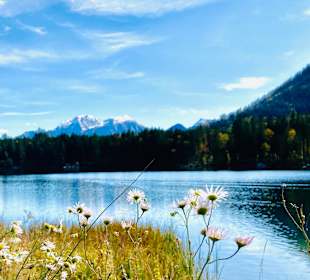 Hintersee