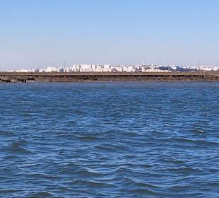 Bootstour Ria Formosa