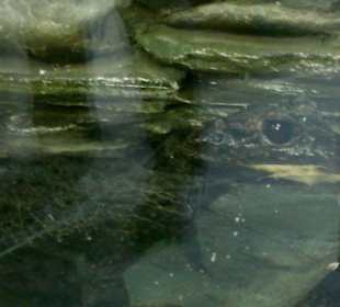 Zoo Olomouc