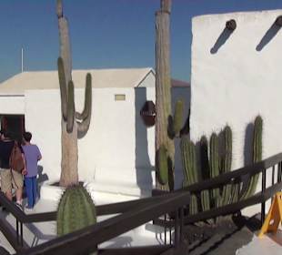 Fundacion Cesar Manrique