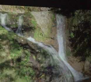 Naturparkzentrum Ruhestein