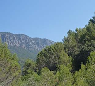 Auffahrt nach Soller