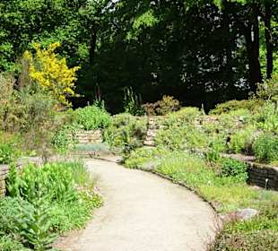 Spaziergang durch den Botanischen Garten Bremen