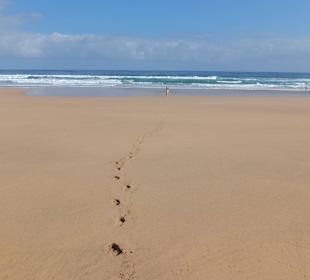 Eine Spur im Sand an der Playa Cofete