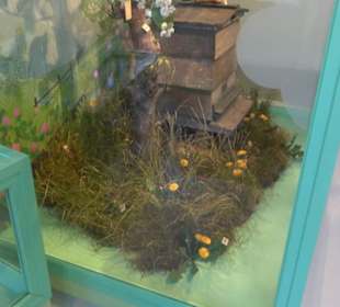 Museum für Naturkunde