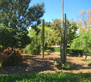 Argotti Botanic Gardens