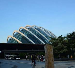 Gardens by the Bay