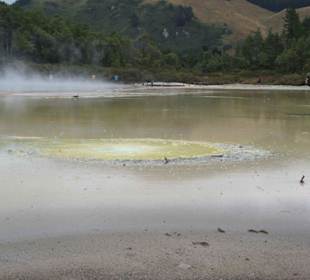 Champagner Pool im Waiotapu Thermal Wonderland