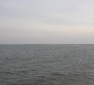Ausflugsfahrt mit der WEGA 2