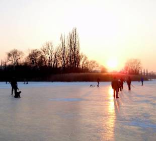 Walking on Lake Constance by Reichenau island