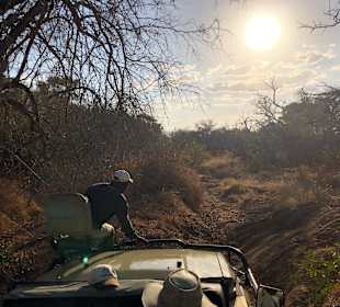 Game Drive