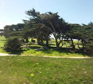 Auf den Spuren der Siedler