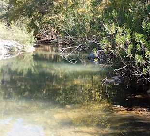 Tour & Ausflug in Alanya