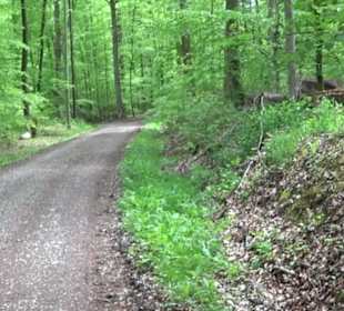 Naturpark Schönbuch