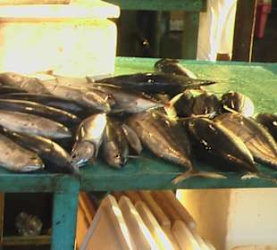 Fisch der nicht verkauft wird