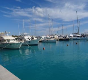 In der Marina unterwegs