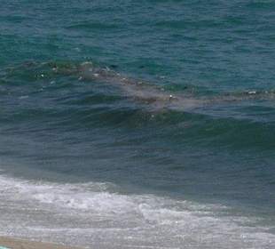 Kloake Mittelmeer